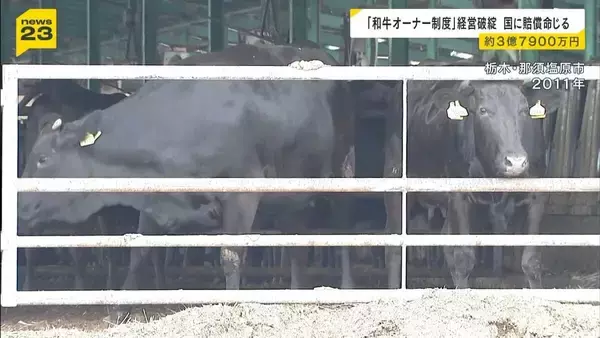 和牛オーナー制度うたい出資募った牧場が経営破綻　出資者らが国を提訴…3億7900万円の賠償命じる判決　「業務停止命令出すべきだった」国の対応を違法と判断　大阪地裁