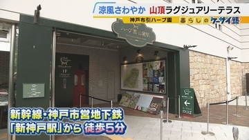 【涼しい！ヒヤリ！】廃校でリアル恐怖体験「よしおちゃんとかくれんぼ…」　ひんやり洞窟で死後の世界も！？　夏の暑さを避ける関西の“クールケーション”