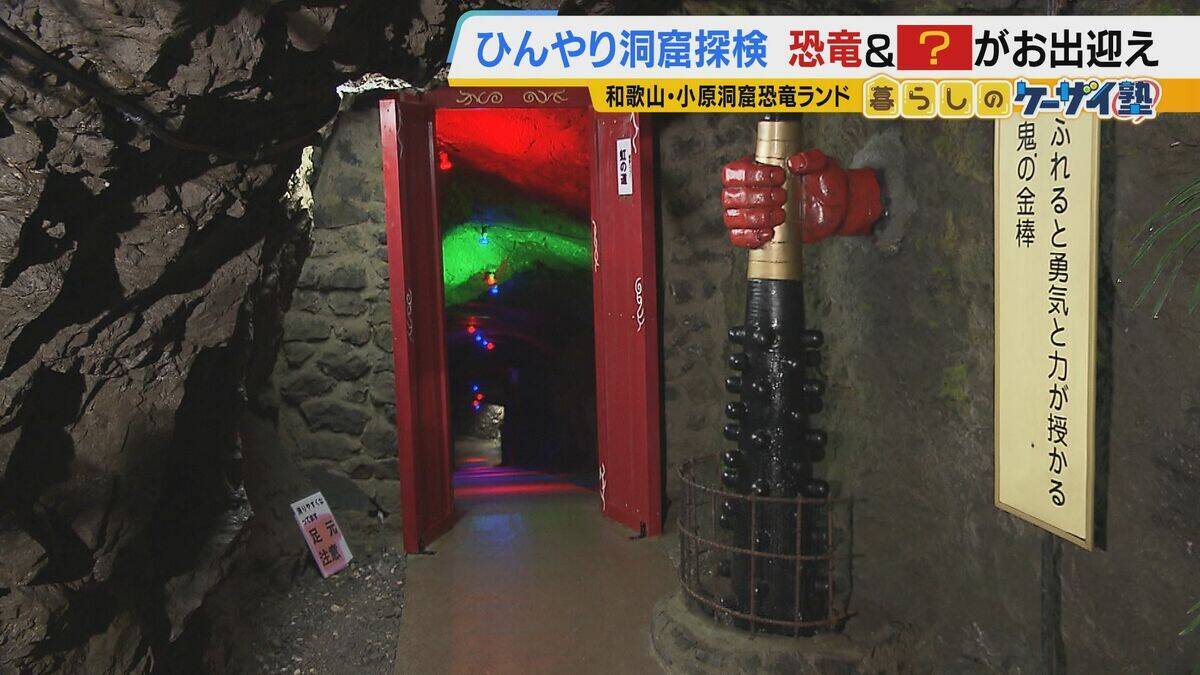【涼しい！ヒヤリ！】廃校でリアル恐怖体験「よしおちゃんとかくれんぼ…」　ひんやり洞窟で死後の世界も！？　夏の暑さを避ける関西の“クールケーション”