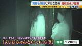 「【涼しい！ヒヤリ！】廃校でリアル恐怖体験「よしおちゃんとかくれんぼ…」　ひんやり洞窟で死後の世界も！？　夏の暑さを避ける関西の“クールケーション”」の画像17