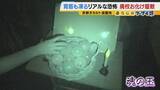 「【涼しい！ヒヤリ！】廃校でリアル恐怖体験「よしおちゃんとかくれんぼ…」　ひんやり洞窟で死後の世界も！？　夏の暑さを避ける関西の“クールケーション”」の画像18