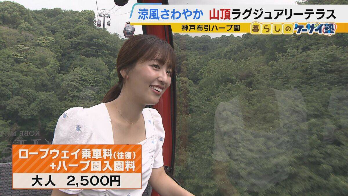 【涼しい！ヒヤリ！】廃校でリアル恐怖体験「よしおちゃんとかくれんぼ…」　ひんやり洞窟で死後の世界も！？　夏の暑さを避ける関西の“クールケーション”