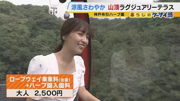「【涼しい！ヒヤリ！】廃校でリアル恐怖体験「よしおちゃんとかくれんぼ…」　ひんやり洞窟で死後の世界も！？　夏の暑さを避ける関西の“クールケーション”」の画像