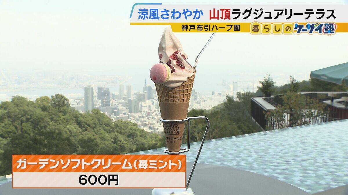 【涼しい！ヒヤリ！】廃校でリアル恐怖体験「よしおちゃんとかくれんぼ…」　ひんやり洞窟で死後の世界も！？　夏の暑さを避ける関西の“クールケーション”