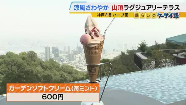 「【涼しい！ヒヤリ！】廃校でリアル恐怖体験「よしおちゃんとかくれんぼ…」　ひんやり洞窟で死後の世界も！？　夏の暑さを避ける関西の“クールケーション”」の画像