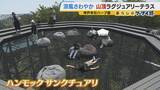 「【涼しい！ヒヤリ！】廃校でリアル恐怖体験「よしおちゃんとかくれんぼ…」　ひんやり洞窟で死後の世界も！？　夏の暑さを避ける関西の“クールケーション”」の画像6