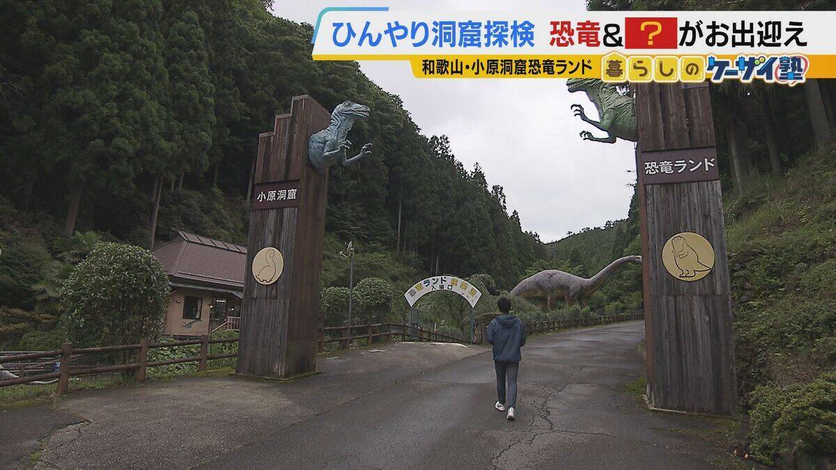 【涼しい！ヒヤリ！】廃校でリアル恐怖体験「よしおちゃんとかくれんぼ…」　ひんやり洞窟で死後の世界も！？　夏の暑さを避ける関西の“クールケーション”