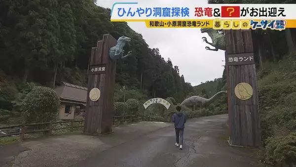 「【涼しい！ヒヤリ！】廃校でリアル恐怖体験「よしおちゃんとかくれんぼ…」　ひんやり洞窟で死後の世界も！？　夏の暑さを避ける関西の“クールケーション”」の画像