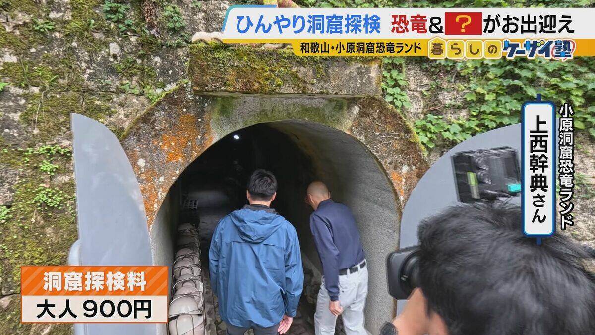 【涼しい！ヒヤリ！】廃校でリアル恐怖体験「よしおちゃんとかくれんぼ…」　ひんやり洞窟で死後の世界も！？　夏の暑さを避ける関西の“クールケーション”