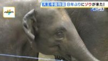 「この日を待ちわびていた」　大阪・天王寺動物園に８年ぶりにゾウがやって来た！ 約４５億円を投じて飼育環境を整備「自分の目でゾウを感じていただきたい」