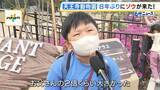「「この日を待ちわびていた」　大阪・天王寺動物園に８年ぶりにゾウがやって来た！ 約４５億円を投じて飼育環境を整備「自分の目でゾウを感じていただきたい」」の画像2