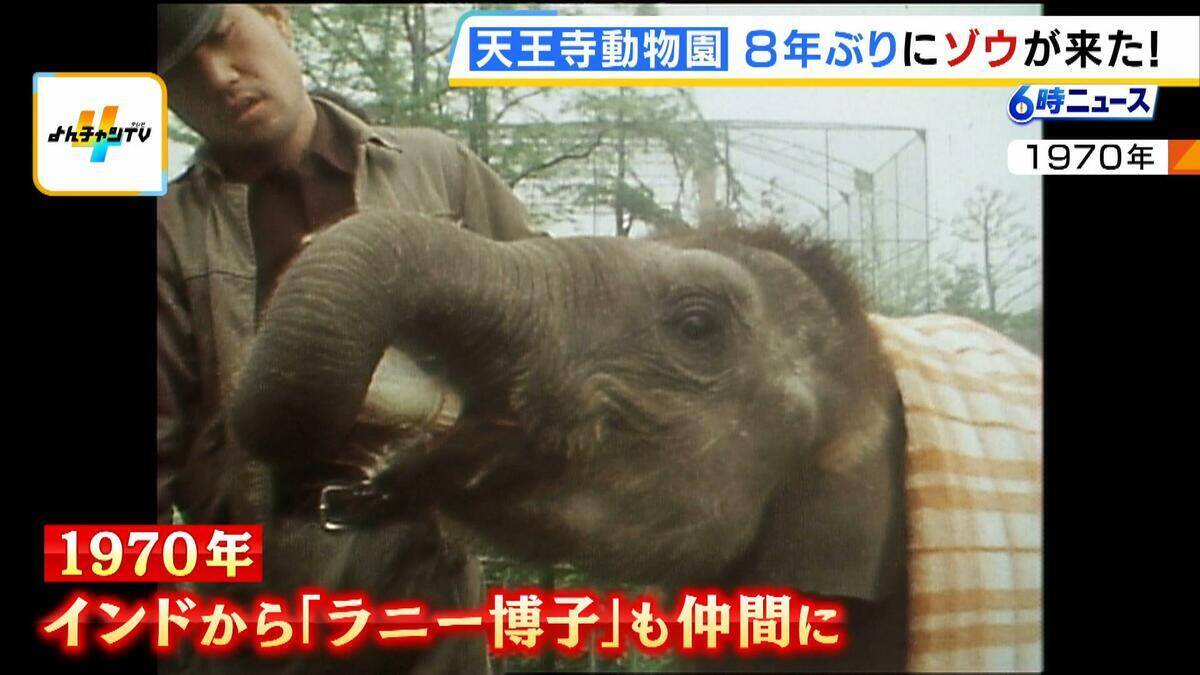 「この日を待ちわびていた」　大阪・天王寺動物園に８年ぶりにゾウがやって来た！ 約４５億円を投じて飼育環境を整備「自分の目でゾウを感じていただきたい」