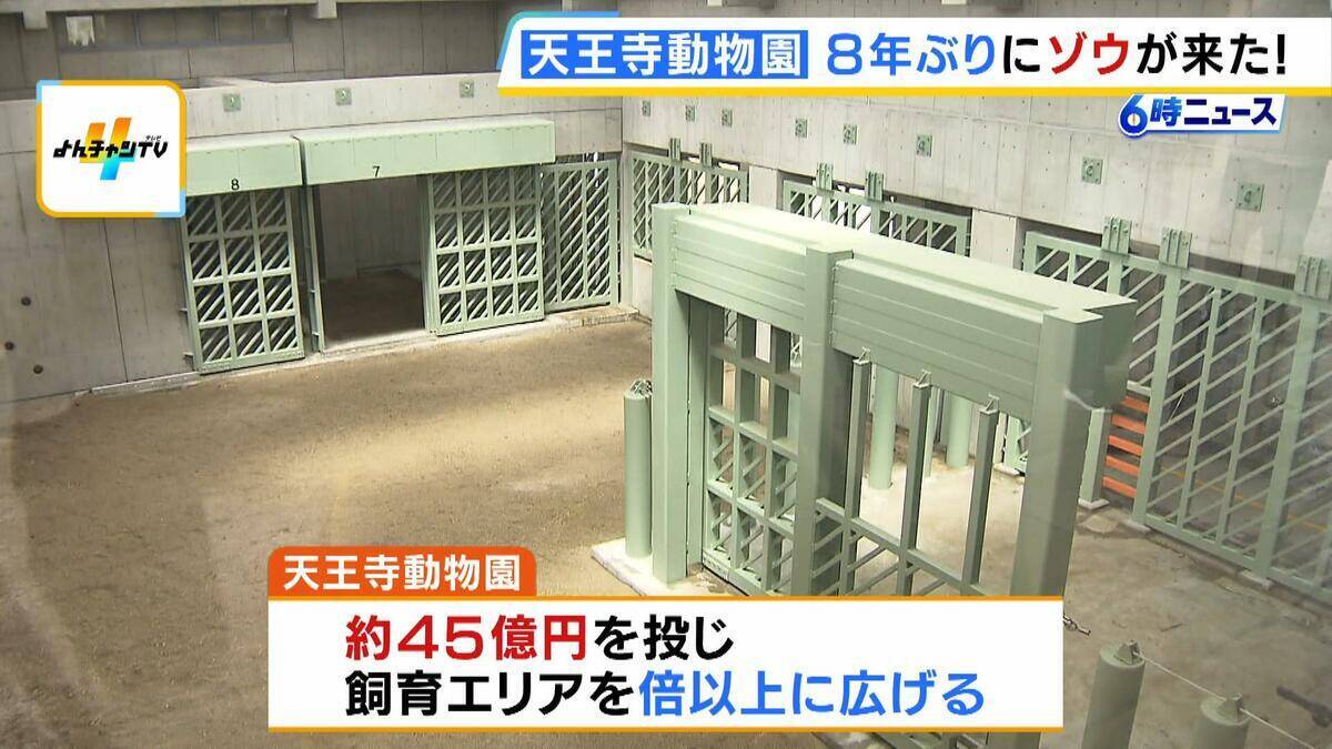 「この日を待ちわびていた」　大阪・天王寺動物園に８年ぶりにゾウがやって来た！ 約４５億円を投じて飼育環境を整備「自分の目でゾウを感じていただきたい」