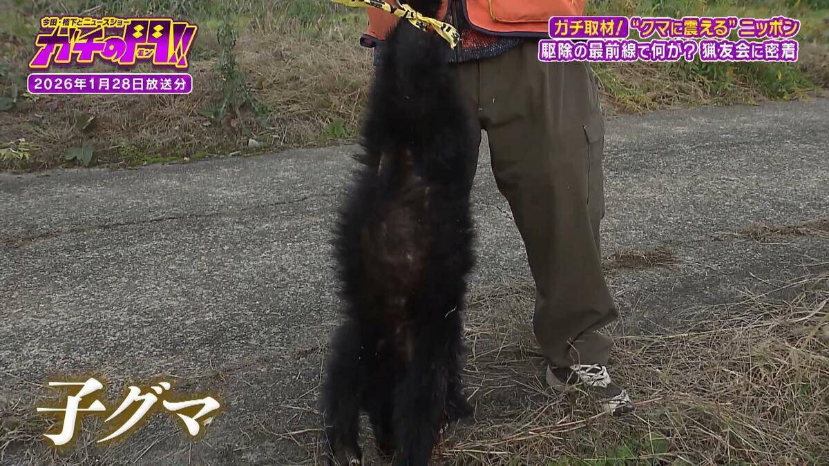 「ガリガリと頭をかじられ...」ヒグマに襲われ左目を失った隻眼のハンター　クマ被害が全国で相次ぐなか“人的被害ゼロ１８年継続”　岩見沢を守る「原田式ゾーニング」の極意【ガチの門】
