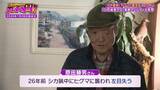 「「ガリガリと頭をかじられ...」ヒグマに襲われ左目を失った隻眼のハンター　クマ被害が全国で相次ぐなか“人的被害ゼロ１８年継続”　岩見沢を守る「原田式ゾーニング」の極意【ガチの門】」の画像13