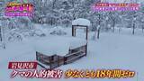 「「ガリガリと頭をかじられ...」ヒグマに襲われ左目を失った隻眼のハンター　クマ被害が全国で相次ぐなか“人的被害ゼロ１８年継続”　岩見沢を守る「原田式ゾーニング」の極意【ガチの門】」の画像16