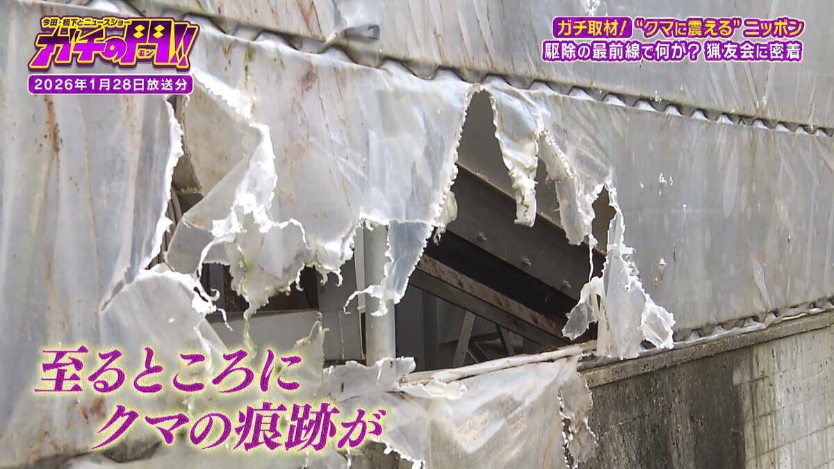 「ガリガリと頭をかじられ...」ヒグマに襲われ左目を失った隻眼のハンター　クマ被害が全国で相次ぐなか“人的被害ゼロ１８年継続”　岩見沢を守る「原田式ゾーニング」の極意【ガチの門】