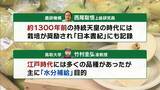 「【大行列＆即完売】開発に23年かけた兵庫県初のブランド梨「なしおとめ」ヒミツとは？　身近な果物「梨」1300年の歴史と“甘くない現実”」の画像3