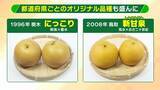 「【大行列＆即完売】開発に23年かけた兵庫県初のブランド梨「なしおとめ」ヒミツとは？　身近な果物「梨」1300年の歴史と“甘くない現実”」の画像6