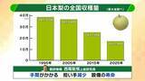 「【大行列＆即完売】開発に23年かけた兵庫県初のブランド梨「なしおとめ」ヒミツとは？　身近な果物「梨」1300年の歴史と“甘くない現実”」の画像7