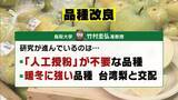 「【大行列＆即完売】開発に23年かけた兵庫県初のブランド梨「なしおとめ」ヒミツとは？　身近な果物「梨」1300年の歴史と“甘くない現実”」の画像8