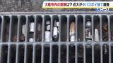 「【たばこのポイ捨て】路地の駐車場などから次々と吸い殻が…「めっちゃ汚いやん」近畿大学の学生らが大阪市内103駅の周辺を調査」の画像1