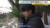 「【世界が認めたジン造り】“山の香りを閉じ込める”25歳の蒸留家の挑戦　コロナ禍で再認識した“香りの大切さ”自然の恵みにこだわり抜いた一杯とは「ジンは自由さが特長。京丹後という風土が造ってくれたお酒」」の画像1