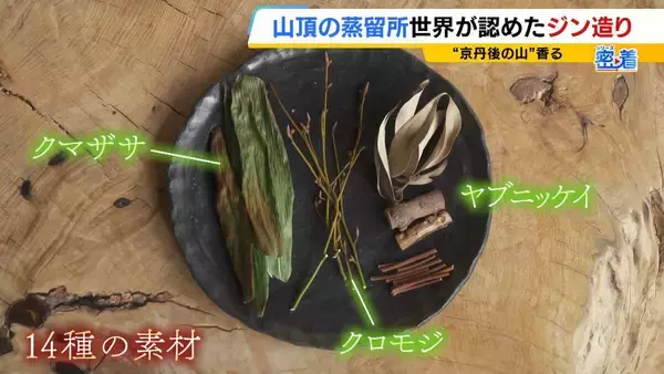 「【世界が認めたジン造り】“山の香りを閉じ込める”25歳の蒸留家の挑戦　コロナ禍で再認識した“香りの大切さ”自然の恵みにこだわり抜いた一杯とは「ジンは自由さが特長。京丹後という風土が造ってくれたお酒」」の画像
