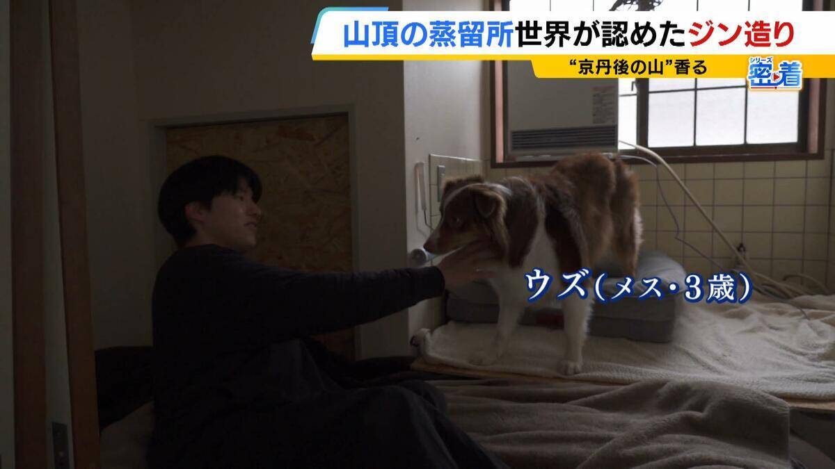 【世界が認めたジン造り】“山の香りを閉じ込める”25歳の蒸留家の挑戦　コロナ禍で再認識した“香りの大切さ”自然の恵みにこだわり抜いた一杯とは「ジンは自由さが特長。京丹後という風土が造ってくれたお酒」