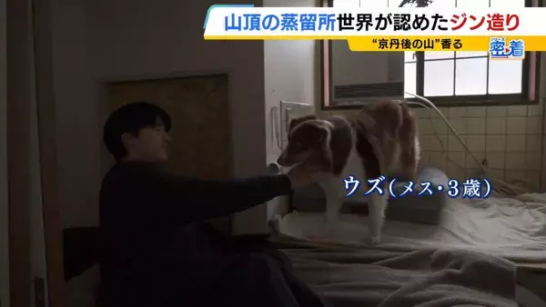 「【世界が認めたジン造り】“山の香りを閉じ込める”25歳の蒸留家の挑戦　コロナ禍で再認識した“香りの大切さ”自然の恵みにこだわり抜いた一杯とは「ジンは自由さが特長。京丹後という風土が造ってくれたお酒」」の画像