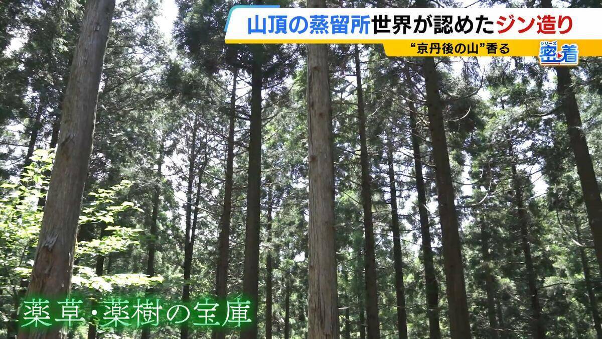 【世界が認めたジン造り】“山の香りを閉じ込める”25歳の蒸留家の挑戦　コロナ禍で再認識した“香りの大切さ”自然の恵みにこだわり抜いた一杯とは「ジンは自由さが特長。京丹後という風土が造ってくれたお酒」