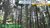 「【世界が認めたジン造り】“山の香りを閉じ込める”25歳の蒸留家の挑戦　コロナ禍で再認識した“香りの大切さ”自然の恵みにこだわり抜いた一杯とは「ジンは自由さが特長。京丹後という風土が造ってくれたお酒」」の画像6