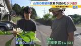 「【世界が認めたジン造り】“山の香りを閉じ込める”25歳の蒸留家の挑戦　コロナ禍で再認識した“香りの大切さ”自然の恵みにこだわり抜いた一杯とは「ジンは自由さが特長。京丹後という風土が造ってくれたお酒」」の画像7