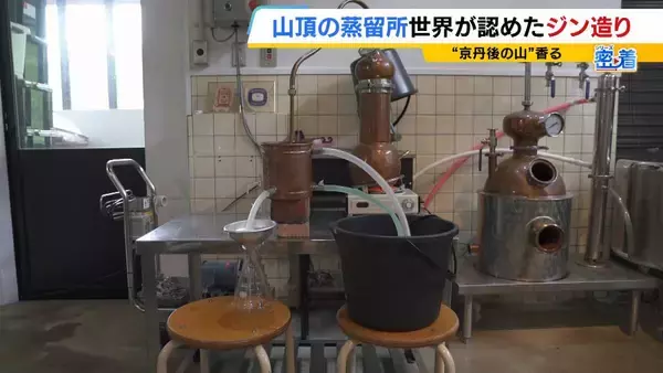 「【世界が認めたジン造り】“山の香りを閉じ込める”25歳の蒸留家の挑戦　コロナ禍で再認識した“香りの大切さ”自然の恵みにこだわり抜いた一杯とは「ジンは自由さが特長。京丹後という風土が造ってくれたお酒」」の画像