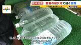 「【熊本地震】"焼けるような暑さ"の被災地…八代市では『かき氷』に涙「一生忘れない」無料で振舞ったのは地震で廃業決めた78歳の居酒屋店主「生きている間はボランティアせな」」の画像4