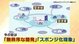「【コンパクトシティ】出生数減少で注目集める　メリットは多岐にわたるも『無秩序な開発』が課題…「アクセルとブレーキを両方踏んでいる」人口増やしたい自治体が抱えるジレンマ」の画像4