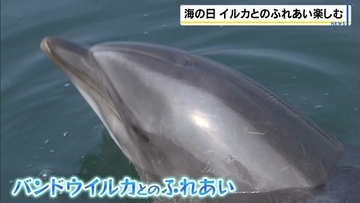 目の前でイルカが豪快にジャンプ！ふれあい体験も「つるつるしててトマトみたい」海の日に家族連れでにぎわう　兵庫・淡路島