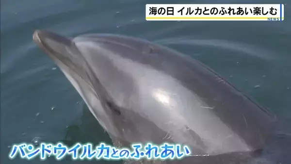 目の前でイルカが豪快にジャンプ！ふれあい体験も「つるつるしててトマトみたい」海の日に家族連れでにぎわう　兵庫・淡路島