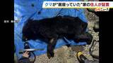 「自宅の軒下を覗くと親グマ　住人が語る当時の状況「さっと見た時は犬か猫かと思った」2頭を緊急銃猟するも…もう1頭が近くに出没か　京都・舞鶴市」の画像1