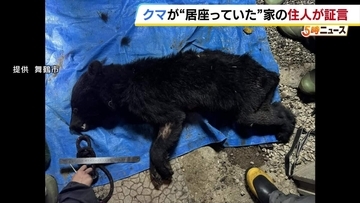 自宅の軒下を覗くと親グマ　住人が語る当時の状況「さっと見た時は犬か猫かと思った」2頭を緊急銃猟するも…もう1頭が近くに出没か　京都・舞鶴市