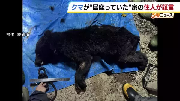 自宅の軒下を覗くと親グマ　住人が語る当時の状況「さっと見た時は犬か猫かと思った」2頭を緊急銃猟するも…もう1頭が近くに出没か　京都・舞鶴市