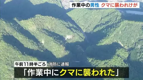 「作業中にクマに襲われた」60代男性が顔・両腕・太もも噛まれ出血　奈良・下北山村