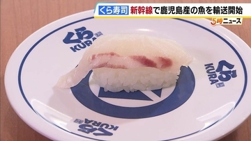 その日とれた新鮮な魚をお店で味わえる！？新幹線で鹿児島産の魚を新大阪へ…くら寿司とJR西日本がタッグ