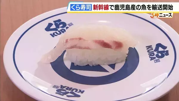 その日とれた新鮮な魚をお店で味わえる！？新幹線で鹿児島産の魚を新大阪へ…くら寿司とJR西日本がタッグ