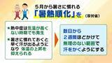 「【まだ5月なのに…】　観測史上初の5月猛暑日で兵庫・豊岡市は35.3℃　大阪も初の真夏日　今から始める熱中症対策「暑熱順化」を気象予報士が徹底解説　ポイントは「5月のうちから無理のない範囲で汗をかく」」の画像1
