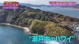 「【買われる日本】上海在住の中国人が土地購入！定住者たった１人の“瀬戸内のハワイ”　「外国人による土地取得」で揺れる日本の現状【ガチの門】」の画像8