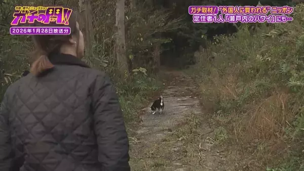 「【買われる日本】上海在住の中国人が土地購入！定住者たった１人の“瀬戸内のハワイ”　「外国人による土地取得」で揺れる日本の現状【ガチの門】」の画像