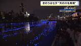「大阪のど真ん中に“天の川”　七夕の『大川』をLED電球約3万5千個が彩る「2人で結婚できますように」「かけっこで一番に」」の画像1