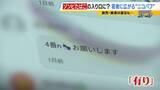 「「ミナミでは２人に１人吸っているレベル」大阪の若者たちに流行する“ニコパフ”　国内での販売・譲渡は禁止だが…フリマアプリで隠語使い販売横行か　より危険な“ゾンビたばこ”の入り口に？【連載・ゾンビたばこ（１）】」の画像5
