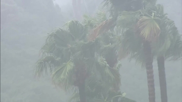 【大雨】大阪・兵庫・和歌山・徳島で線状降水帯発生のおそれ　近畿中部は夕方にかけて土砂災害に厳重警戒
